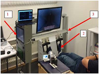 Investigating the Usability and Acute Effects of a Bedside Video Console to Prefrontal Cortical Activity Alterations: A Preclinical Study in Healthy Elderly